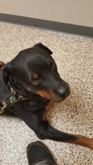 Scotts Creek Animal Hospital Picture 7