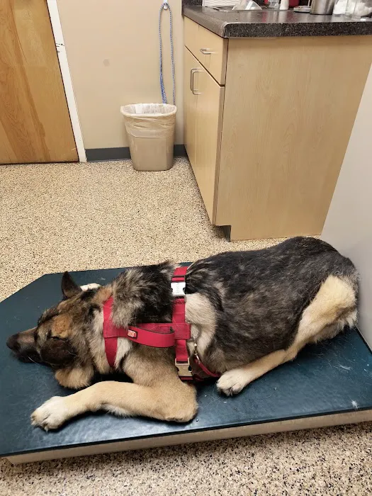 Scotts Creek Animal Hospital: Dr. James Cartner Picture 6
