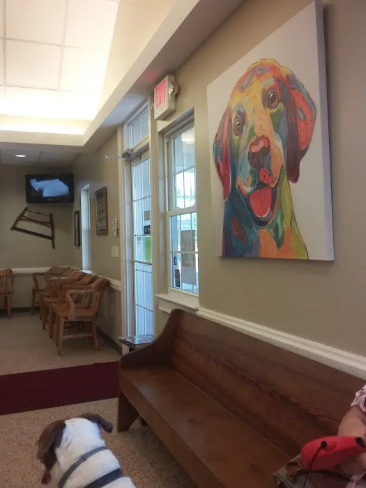 Scotts Creek Animal Hospital: Dr. James Cartner Picture 10