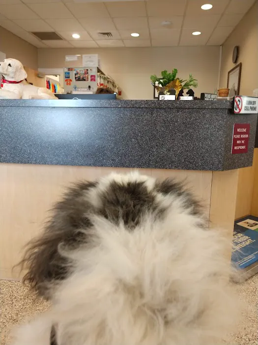 Scotts Creek Animal Hospital: Dr. James Cartner Picture 4