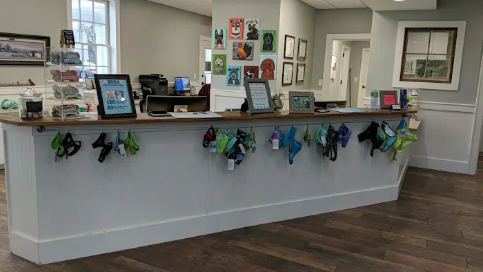 The Country Veterinary Hospital Picture 1