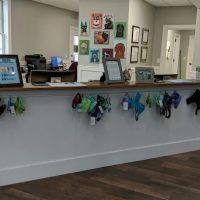 The Country Veterinary Hospital ico