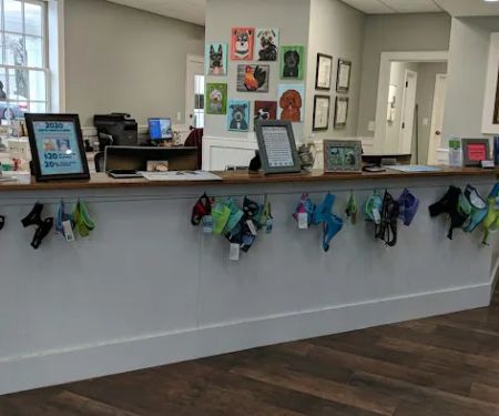 The Country Veterinary Hospital