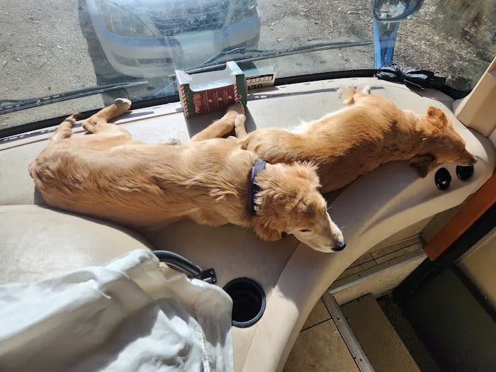 Mocksville Animal Hospital Picture 4