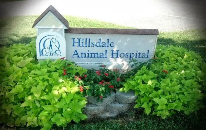Hillsdale Animal Hospital - Karla Frazier, DVM Picture 2