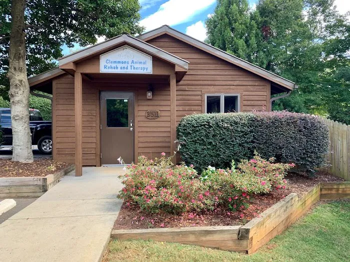 Clemmons Animal Rehab & Therapy Picture 6