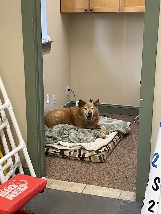 Clemmons Animal Rehab & Therapy Picture 2