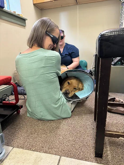 Clemmons Animal Rehab & Therapy Picture 5