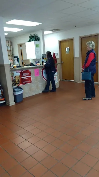 Animal Hospital of Ashe Picture 5