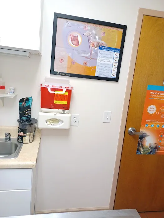 Animal Hospital of Ashe Picture 8