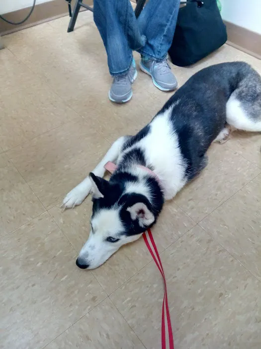 Arcadia Veterinary Hospital Picture 5