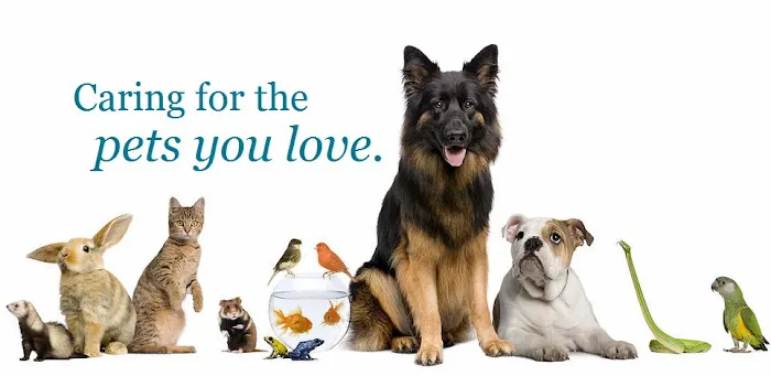 Arcadia Veterinary Hospital Picture 4