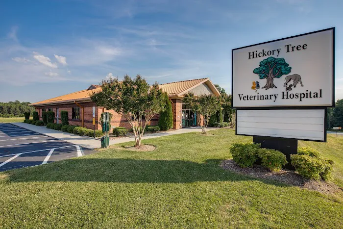 Hickory Tree Veterinary Hospital Picture 3