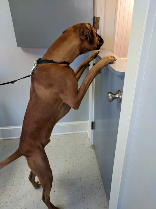 Midway Animal Clinic Picture 4