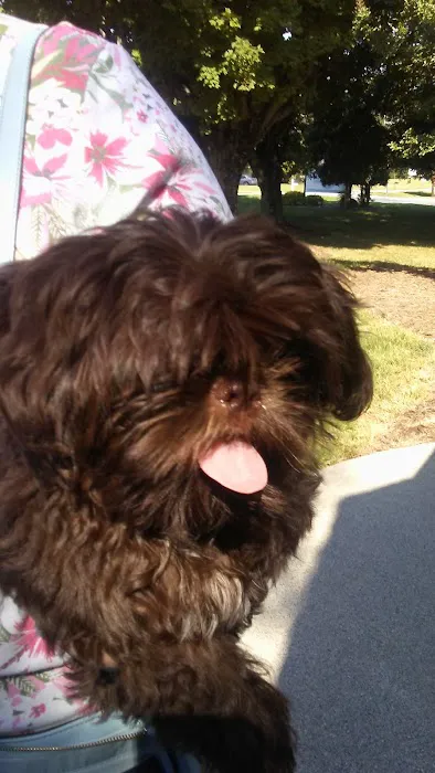 Midway Animal Clinic Picture 10