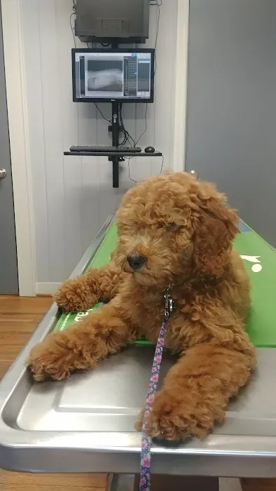 Midway Animal Clinic Picture 1