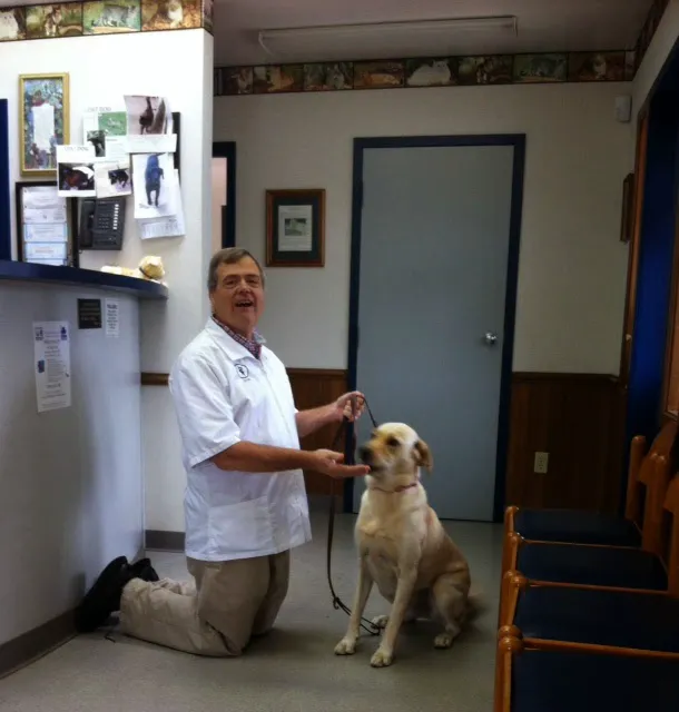 Emerywood Veterinary Hospital PA Picture 7