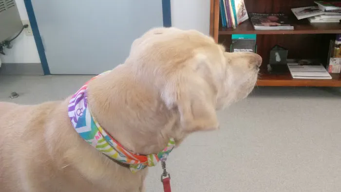 Emerywood Veterinary Hospital PA Picture 4