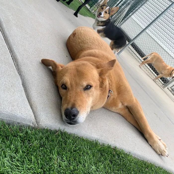 Northwood Animal Hospital Picture 10