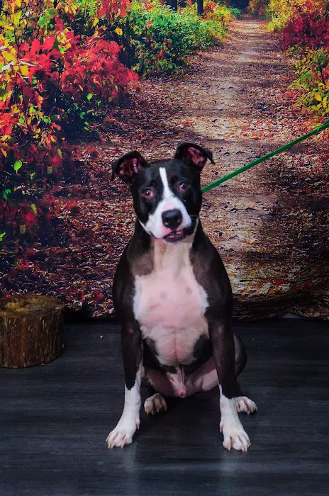 Northwood Animal Hospital Picture 8