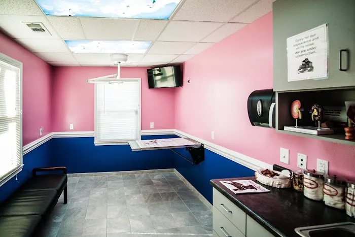 Northwood Animal Hospital Picture 6