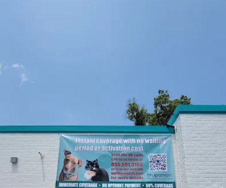 Slivka Rebecca M DVM