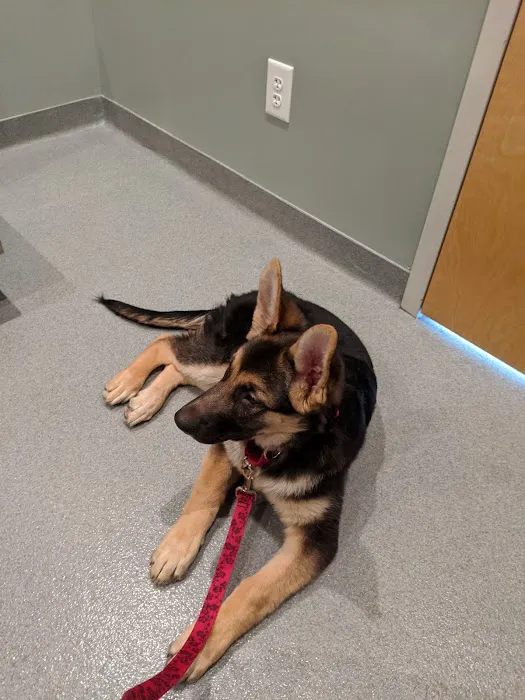 Mule Town Veterinary Hospital Picture 9