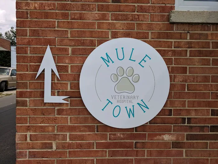 Mule Town Veterinary Hospital Picture 3