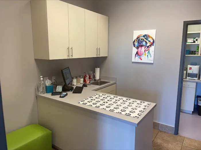 New Light Animal Hospital Picture 3