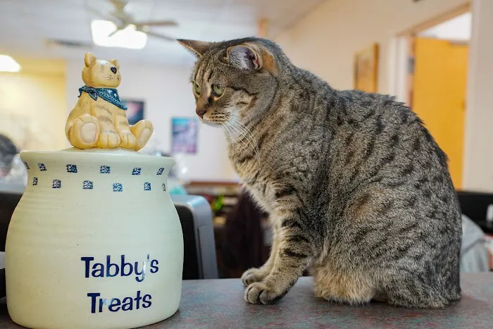 Raleigh-Durham Veterinary Hospital Picture 10
