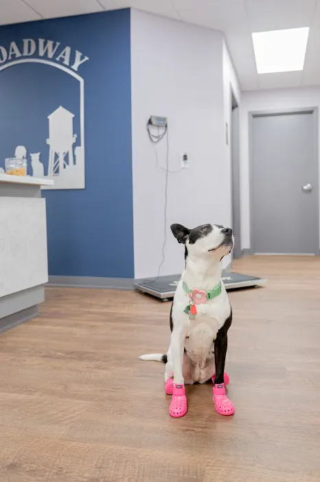 Broadway Veterinary Hospital Picture 9