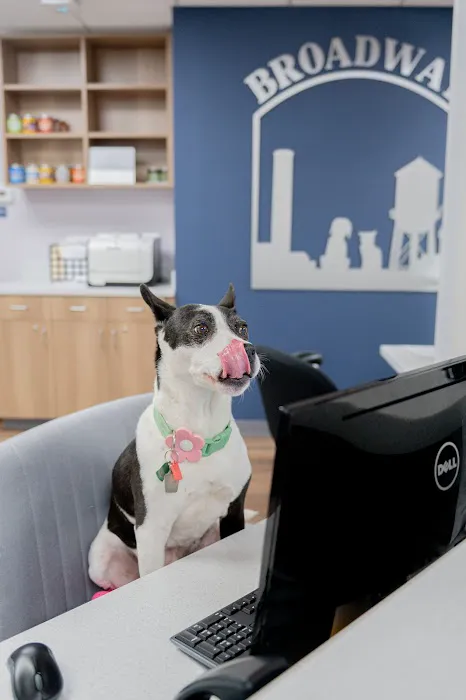 Broadway Veterinary Hospital Picture 3