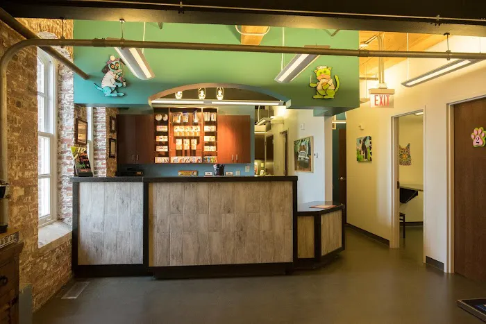 Bull City Veterinary Hospital Picture 7