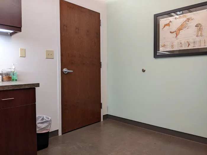 Bull City Veterinary Hospital Picture 4