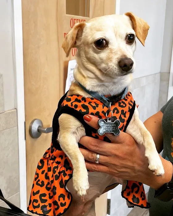 Humane Society of the Piedmont Picture 6