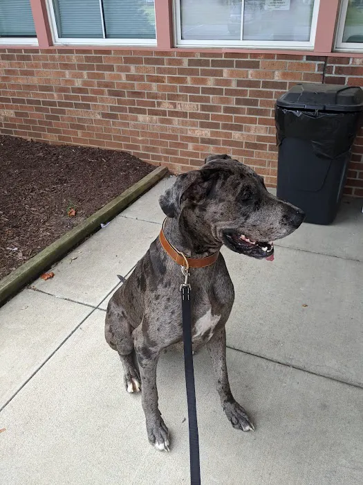 Humane Society of the Piedmont Picture 3