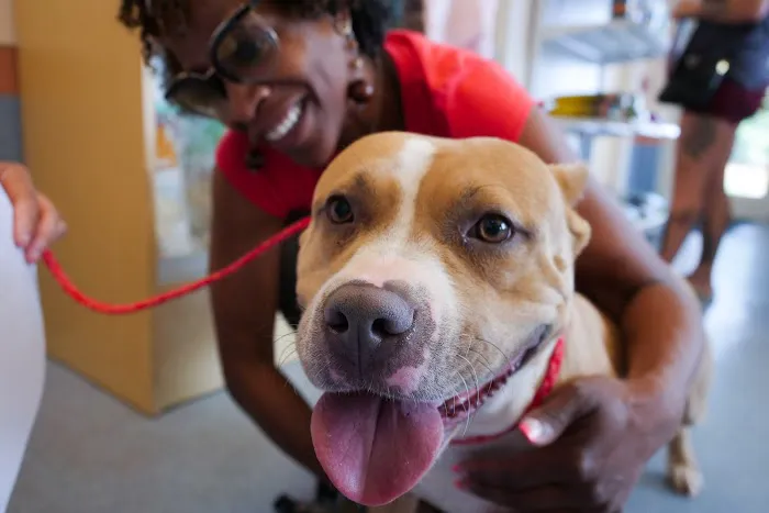 Humane Society of the Piedmont Picture 8