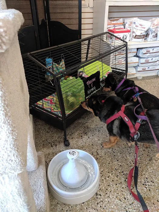 Sedgefield Animal Hospital Picture 5