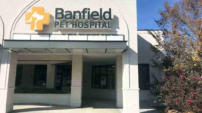Banfield Pet Hospital Picture 2