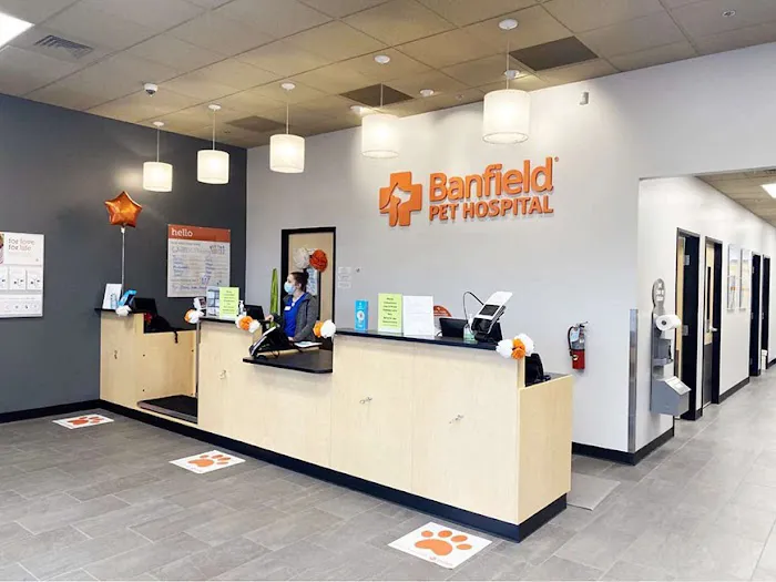 Banfield Pet Hospital Picture 6