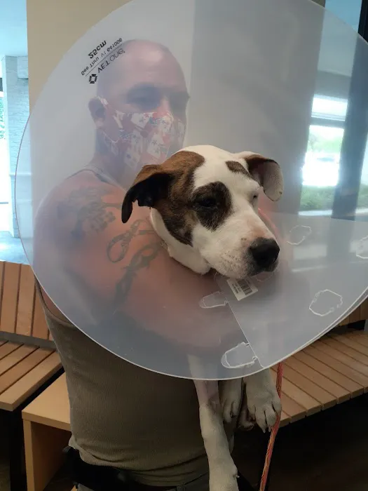 Banfield Pet Hospital Picture 4