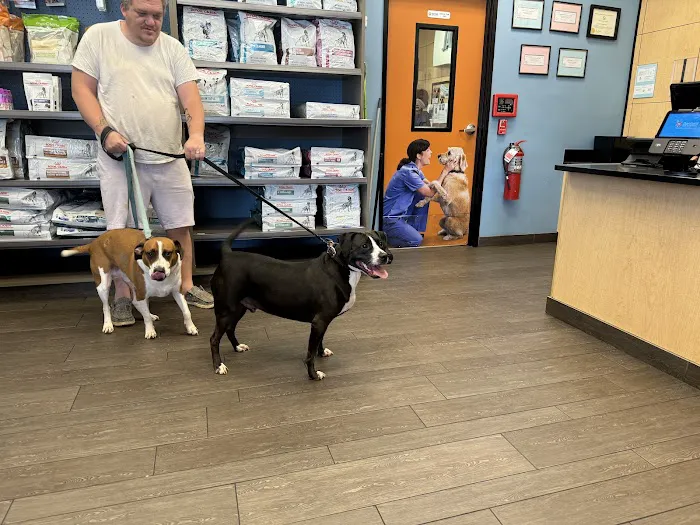 Banfield Pet Hospital Picture 5