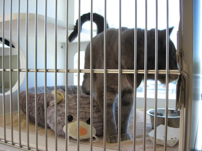 Adams Farm Animal Hospital, P.A. Picture 1