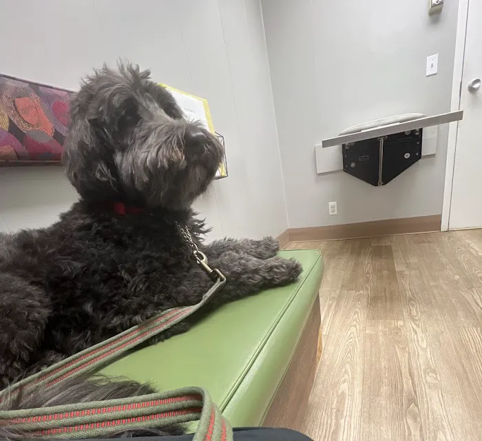 Bartels Pet Hospital Picture 6