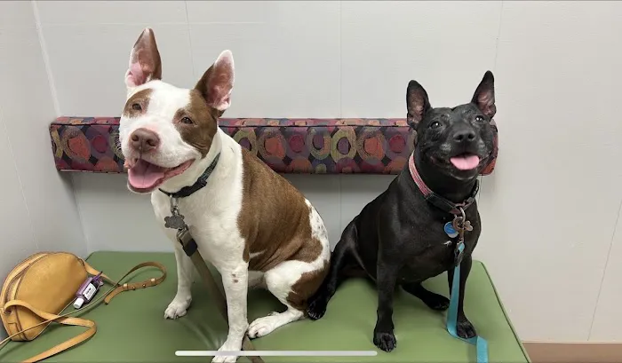 Bartels Pet Hospital Picture 4