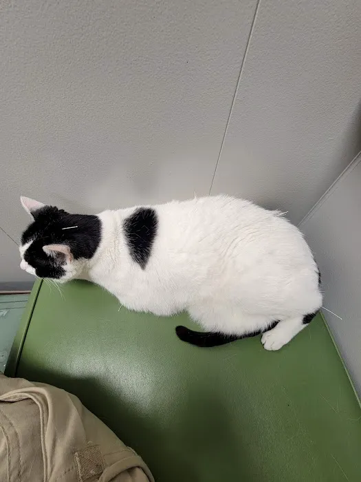 Bartels Pet Hospital Picture 10