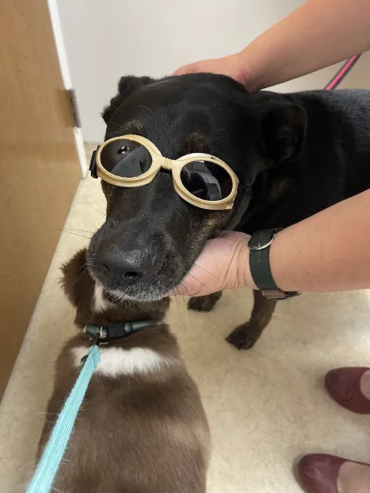 Apple Hill Animal Hospital Picture 2