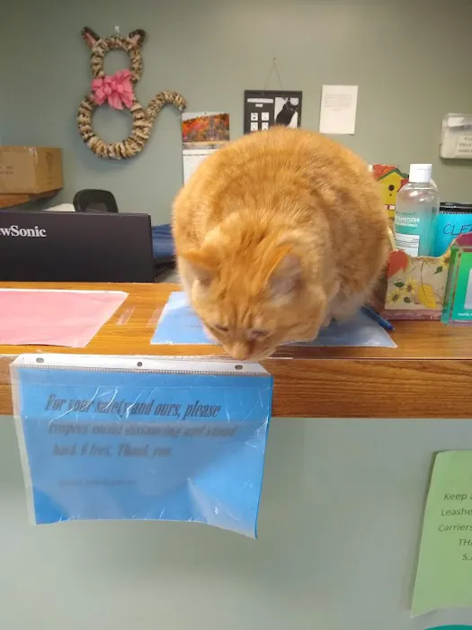 Suburban Animal Hospital - WE HAVE MERGED WITH KENTOWN ANIMAL HOSPITAL! Picture 2