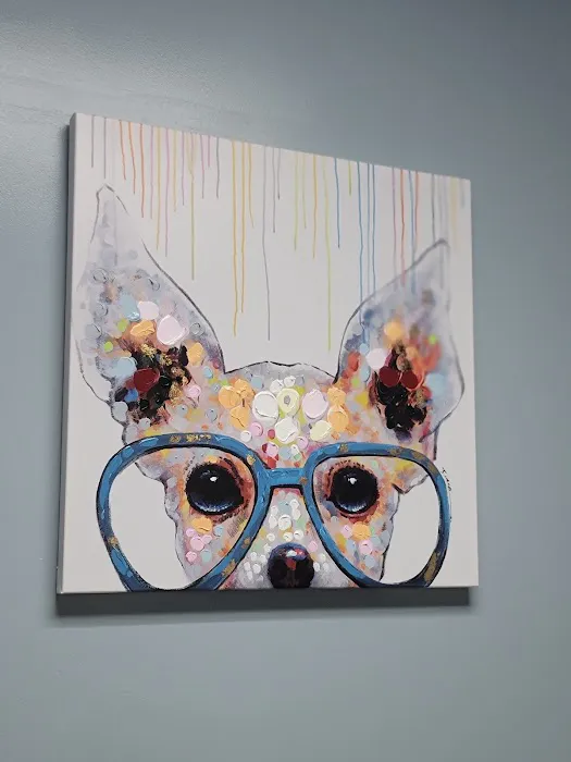 Suburban Animal Hospital - WE HAVE MERGED WITH KENTOWN ANIMAL HOSPITAL! Picture 6