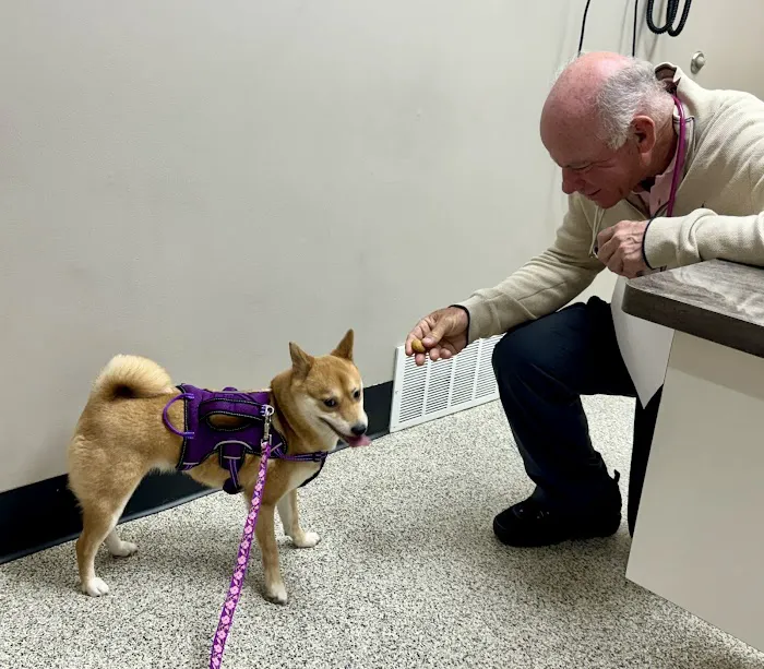Broadview Animal & Bird Hospital Picture 9